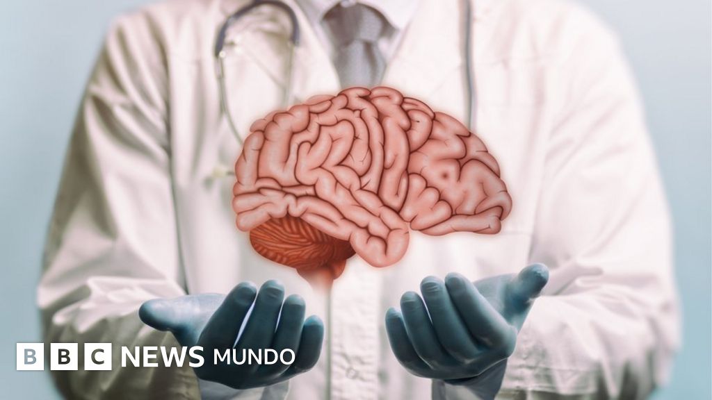 Por qué no se puede trasplantar el cerebro (y cuáles han sido los experimentos para hacerlo)