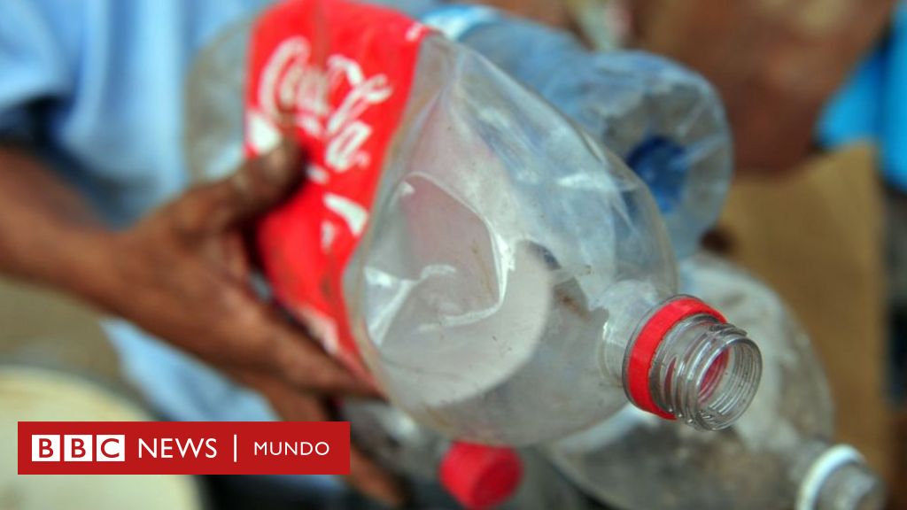 Controversial election of Coca-Cola, one of the major plastics producers, as sponsor of COP27