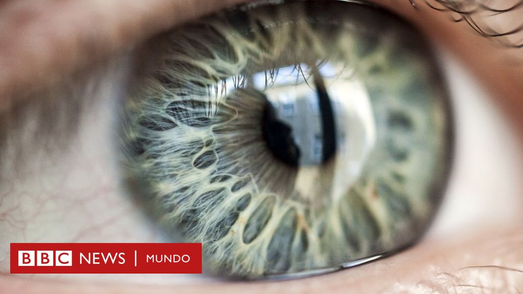 Optografía: cuando los fisiólogos creían que los ojos guardaban la última  imagen que habían visto los muertos - BBC News Mundo