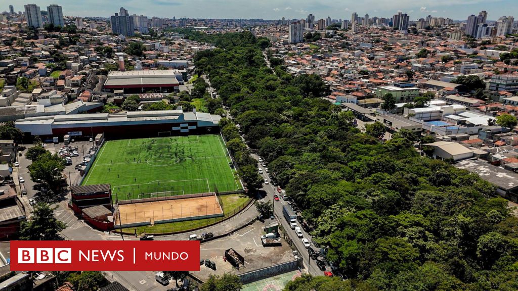 La franja verde de 3 km: Un oasis en São Paulo