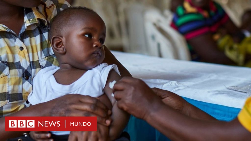 Malaria La Histórica Aprobación Por La Oms De La Primera Vacuna Contra