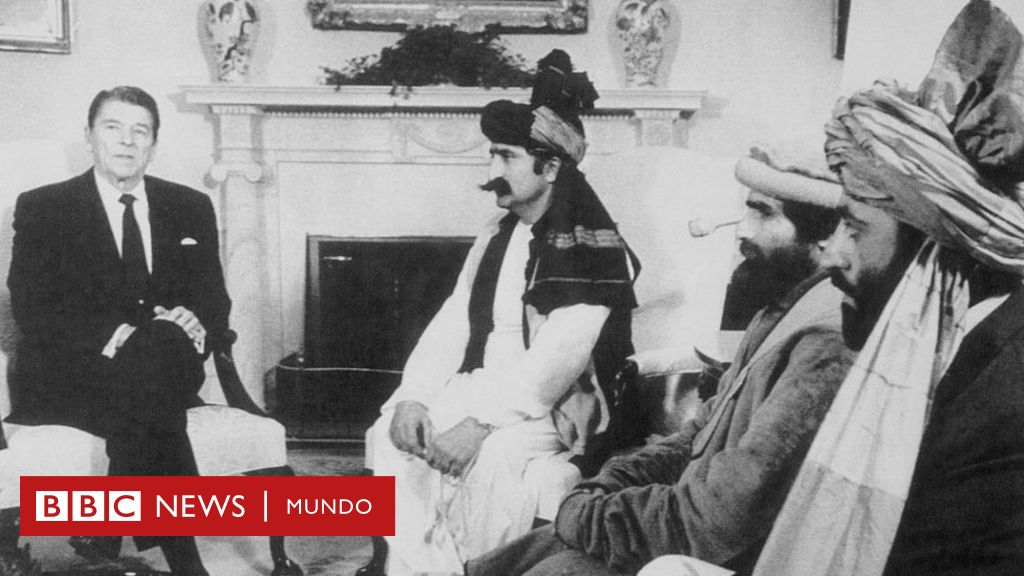 www.bbc.com