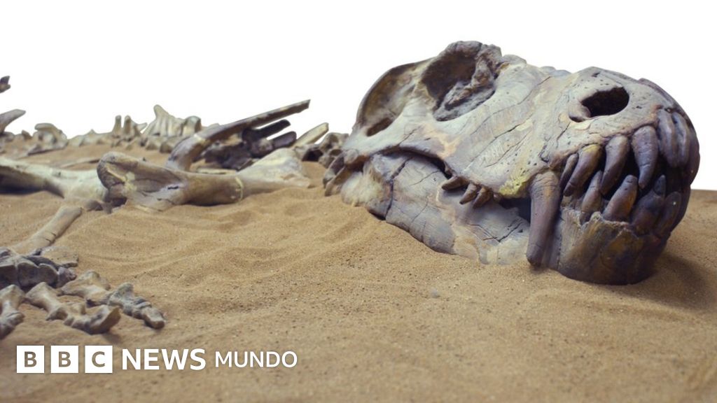 8 animales ya extinguidos que nunca más volveremos a ver (y uno que