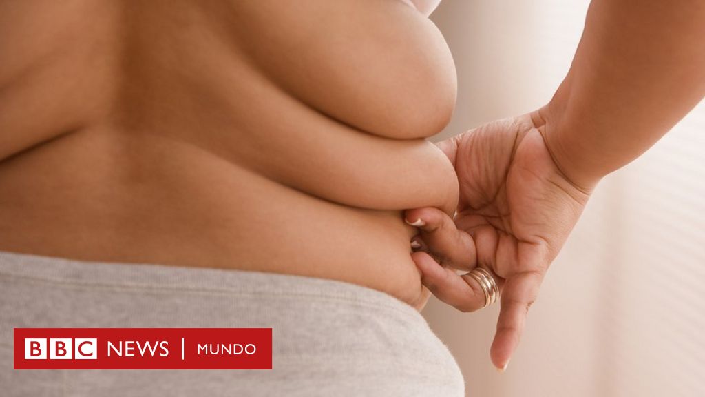 En qué se grasa corporal marrón de la blanca (y por qué no toda es mala) BBC News Mundo