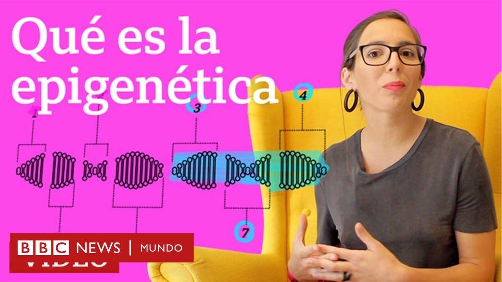 Epigenética: ¿podemos cambiar lo que determinan nuestros genes? - BBC News  Mundo