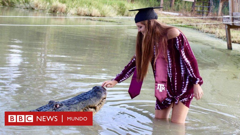 La impresionante foto de graduación de una joven en Estados Unidos  acariciando a un cocodrilo de 4 metros de largo - BBC News Mundo