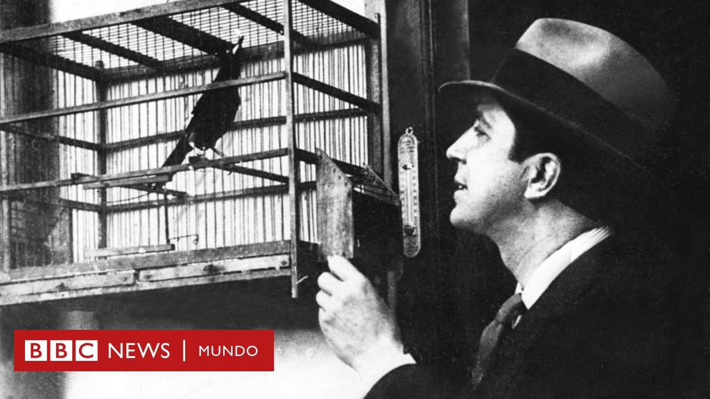 La muerte de Carlos Gardel: la polémica teoría de un ...