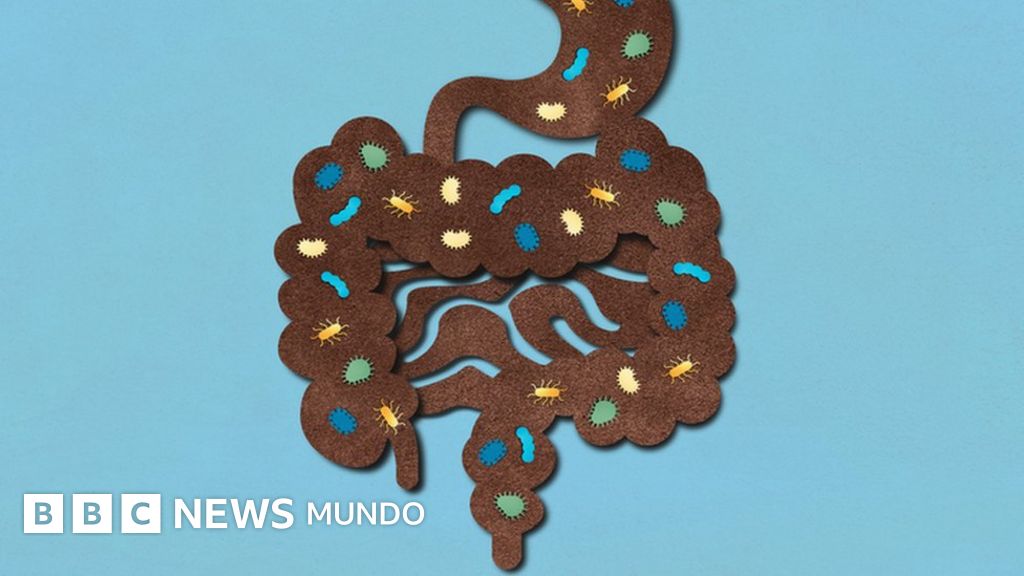 El “banco global de heces” que científicos están creando en Suiza para luchar contra la silenciosa extinción de las bacterias