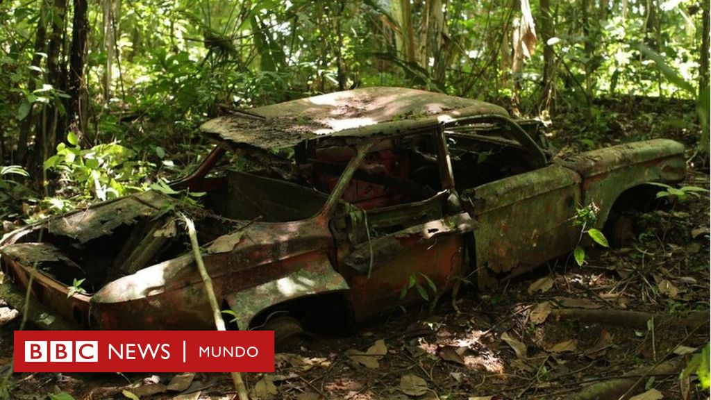 El infierno de cruzar el Tapón del Darién, la selva más intransitable y  peligrosa de América Latina (que corta en dos la ruta Panamericana) - BBC  News Mundo