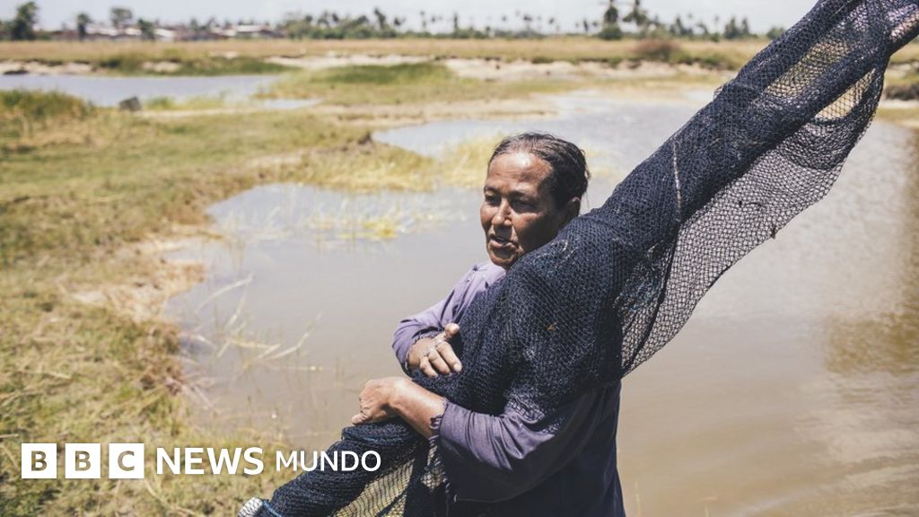 esquistosomiasis otro nombre esquistosomiasis otro nombre