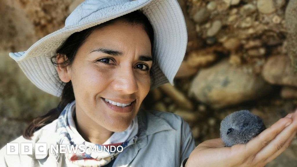 Yuliana Bedolla, la científica mexicana premiada en Londres por proteger a las "misteriosas" aves nocturnas de islas del Pacífico