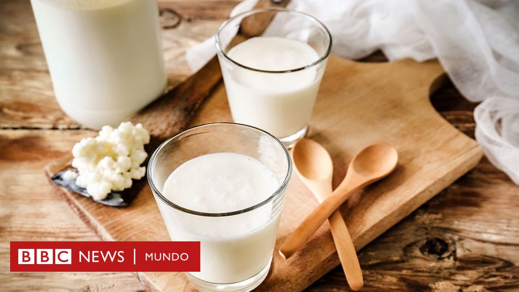 El kéfir de leche y sus beneficios para la salud - Centro de Investigación  en Alimentación y Desarrollo (CIAD)