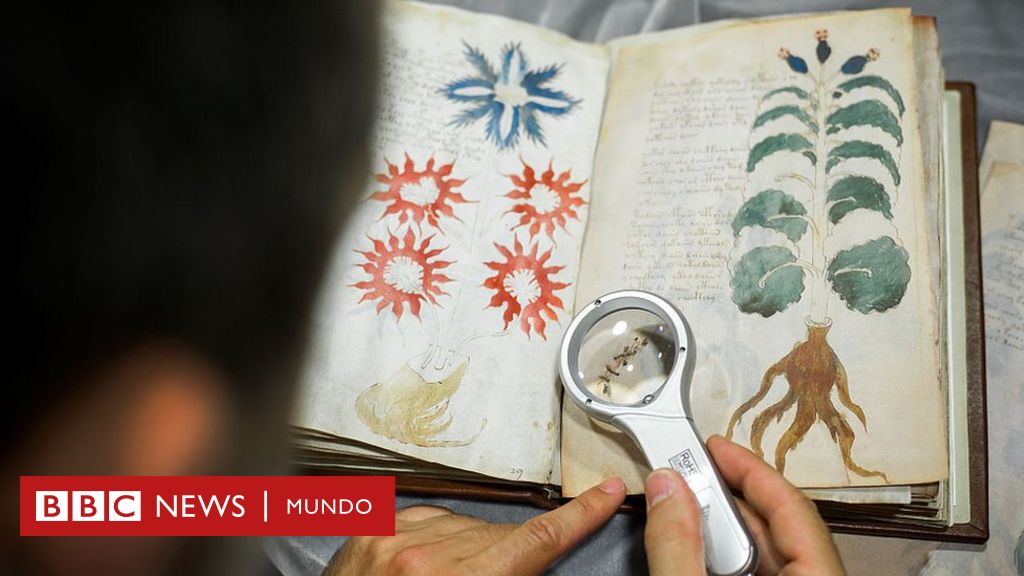 Disciplinario perder Gama de El Manuscrito Voynich, el enigmático libro que nadie puede leer, sale a la  venta - BBC News Mundo