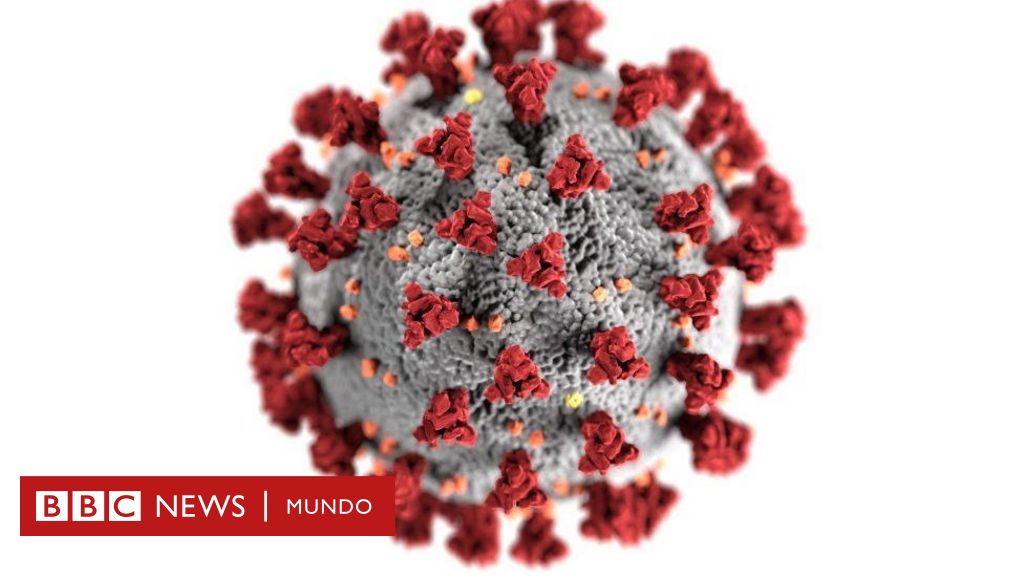 Coronavirus Que Se Sabe De La Variante De Doble Mutacion Encontrada En India Bbc News Mundo