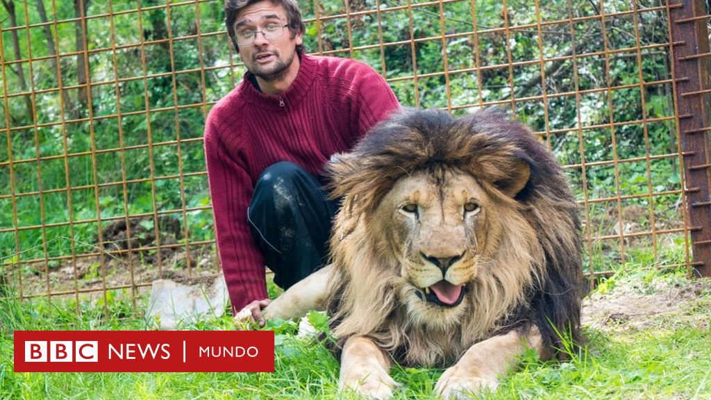 Michal Prasek, el hombre que murió al ser atacado por un león que criaba en  el patio de su casa - BBC News Mundo