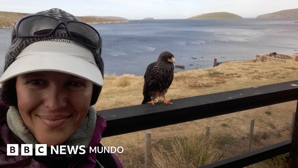 "Poocha che": el inusual uso del idioma español en las islas Malvinas / Falklands