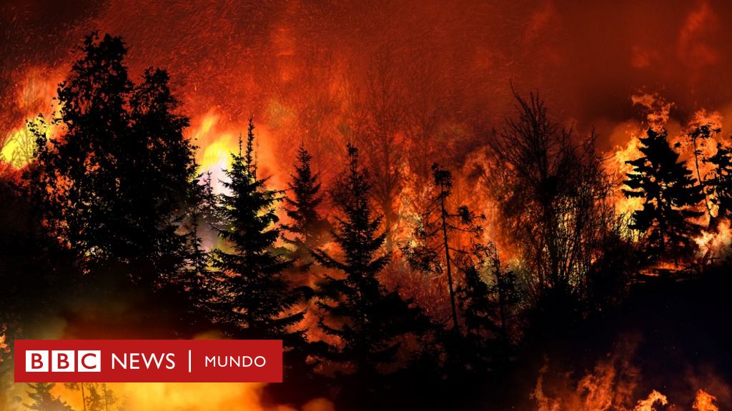 Otro Qué Son Los Rayos Secos Causantes De Devastadores Incendios Forestales Noticias Y