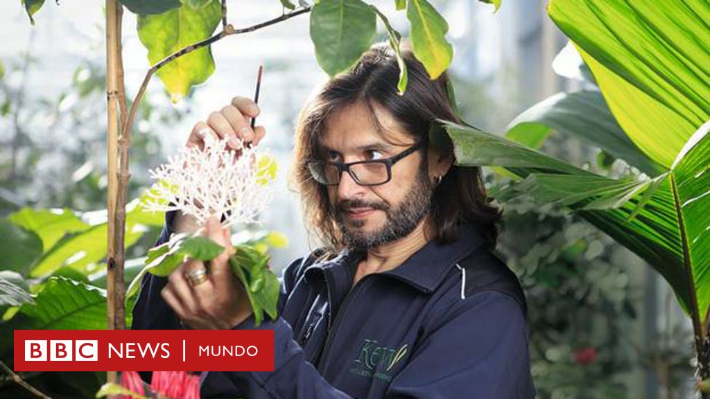 En particular Impedir Humilde Carlos Magdalena, el "mesías de las plantas" que salva especies de la  extinción - BBC News Mundo