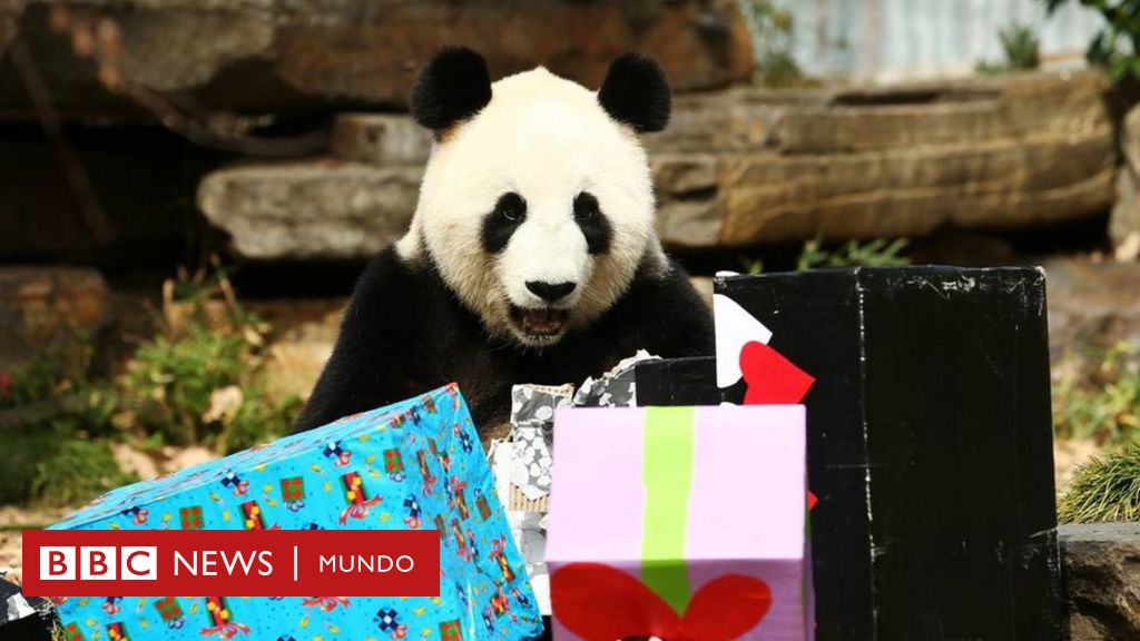 La ciencia detrás de hacer buenos regalos - BBC News Mundo