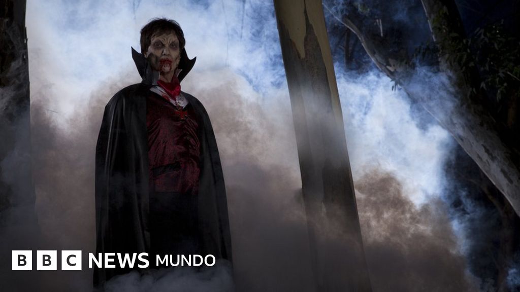 ¿Por qué se asocia al murciélago con el mito del vampiro?