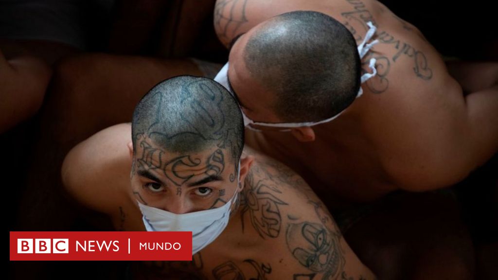 Cuál es el significado oculto en los tatuajes de la Mara Salvatrucha?  Las  autoridades se han dedicado a investigar el significado de los tatuajes de  diversas bandas criminales, como la Mara