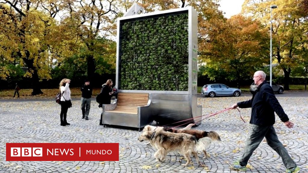 Ein in Deutschland geschaffener Baum absorbiert die Luftverschmutzung in der Stadt, als wäre er ein kleiner Wald