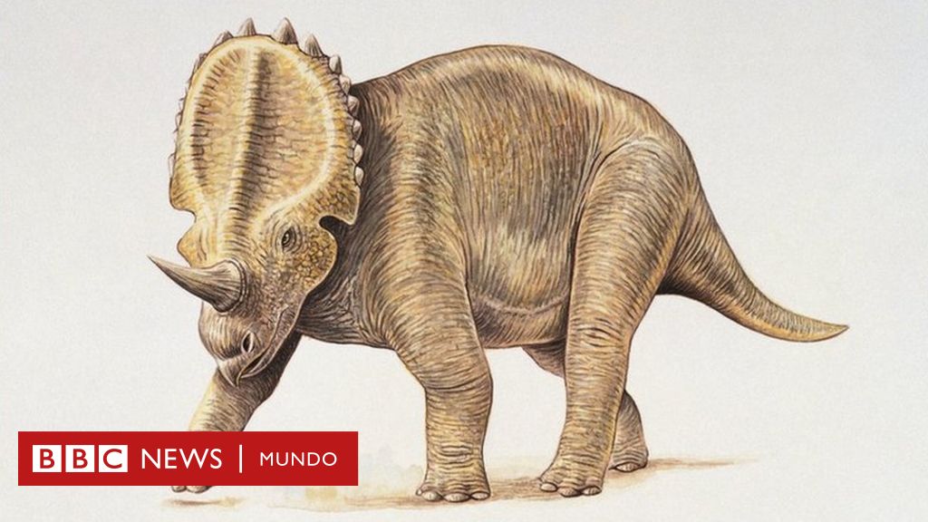 El cáncer que sufrían los dinosaurios hace 77 millones de años y que aún  padecen miles de personas cada año - BBC News Mundo
