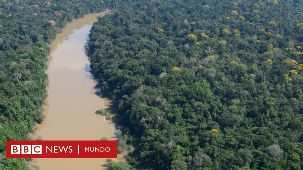 Los Habitantes De La Amazonía Peruana Vivieron "de Manera Sostenible ...