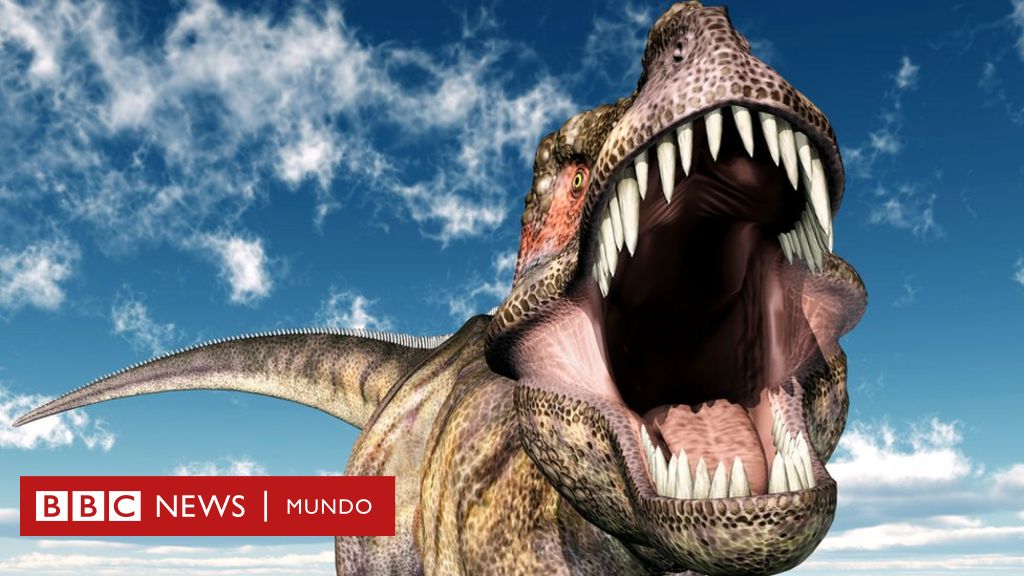 Los científicos que creen que los dinosaurios fueron víctimas de su propio  éxito (antes de que cayera un devastador meteorito) - BBC News Mundo