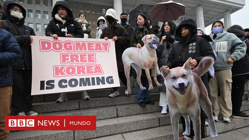 South Korea bans the sale of dog meat despite opposition from older generations