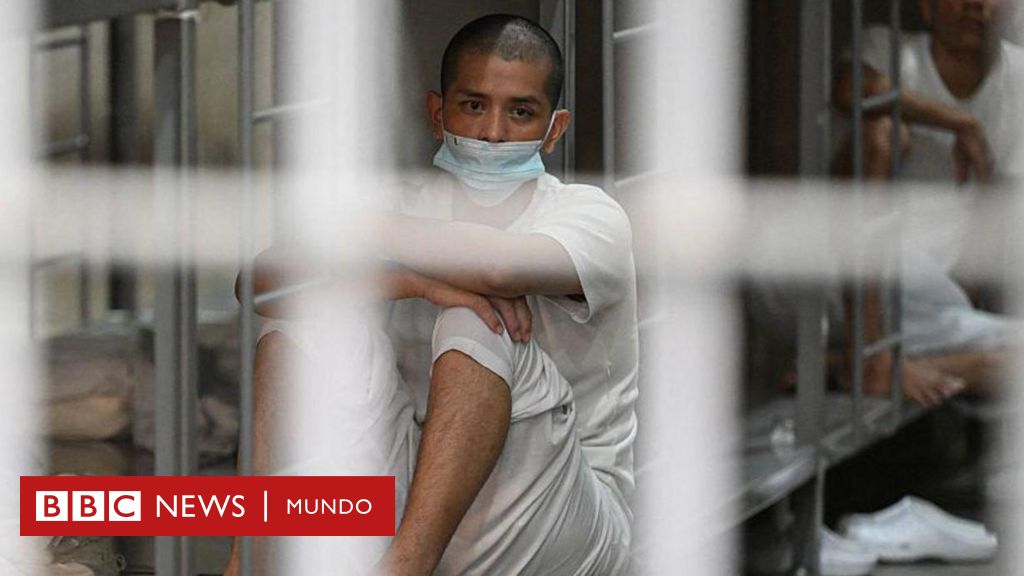 Un juez federal prohíbe a Trump deportar a venezolanos bajo Ley de Enemigos Extranjeros