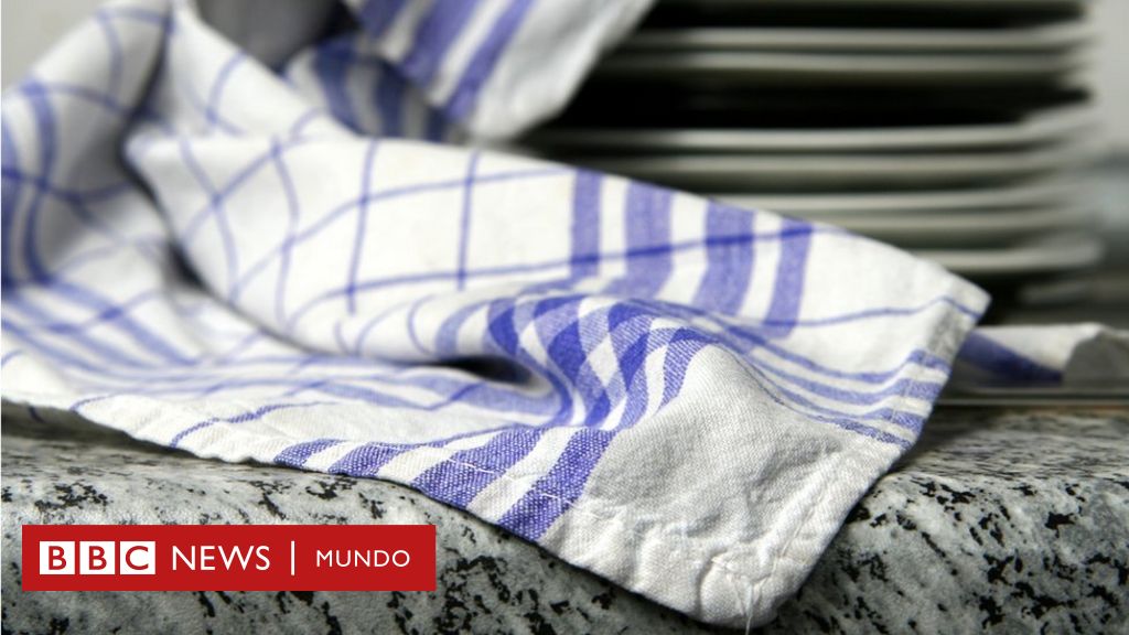 TRAPOS DE COCINA PUEDEN CAUSAR CÓLERA E INFECCIONES INTESTINALES 