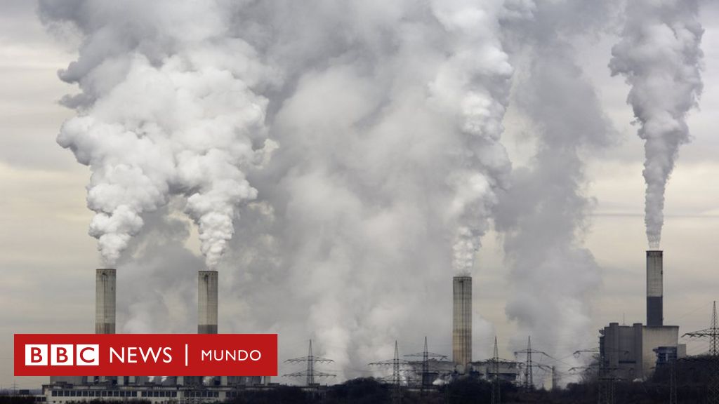 Más dióxido de carbono: la paradójica propuesta contra el cambio climático  - BBC News Mundo