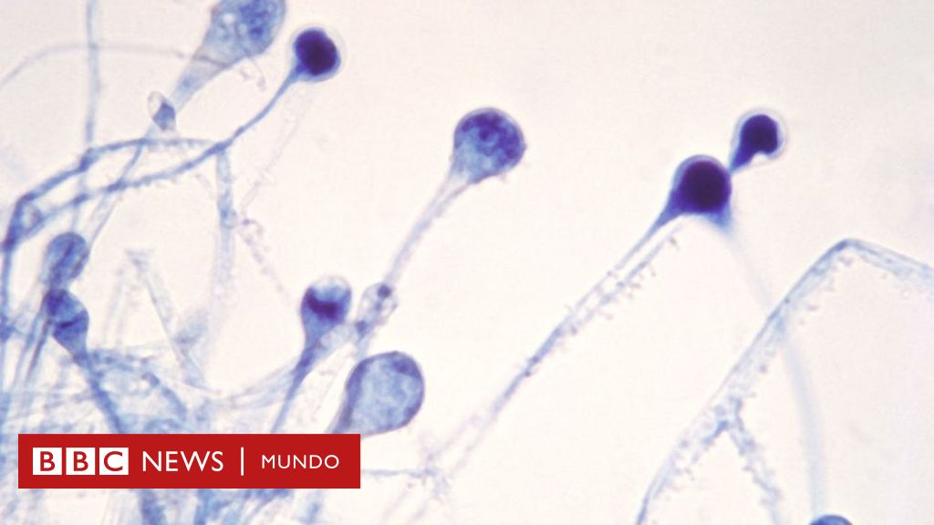 www.bbc.com