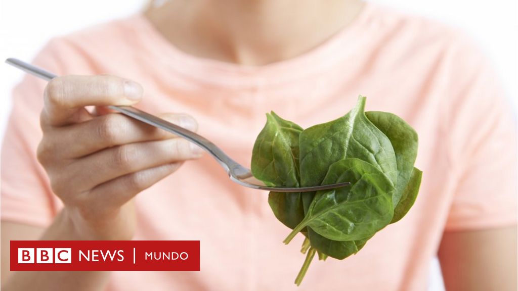 rompecabezas Compuesto leyendo Cómo puedes absorber mejor el hierro de tu dieta? - BBC News Mundo