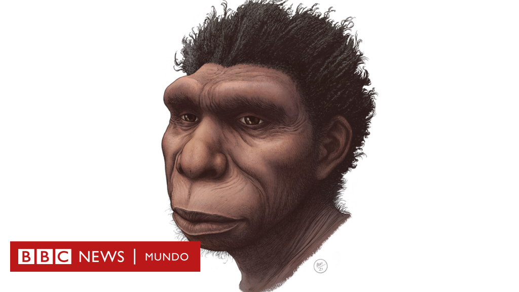  Homo bodoensis  la nueva especie que un grupo de científicos considera 