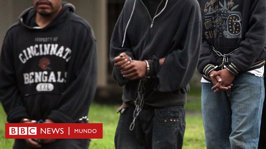 "Un largo historial de abusos de todo tipo": las denuncias de las duras condiciones en Krome, el centro de máxima seguridad para migrantes en Miami