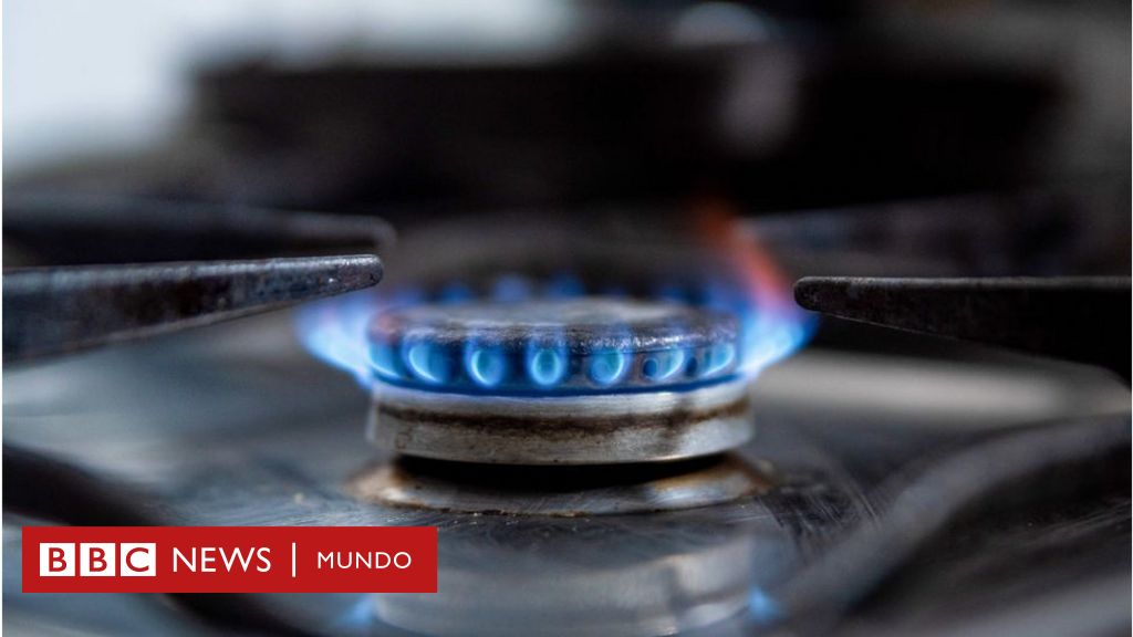 expandir Baya Motivación El acalorado debate sobre las cocinas de gas que se convirtió en un tema  político en EE.UU. - BBC News Mundo