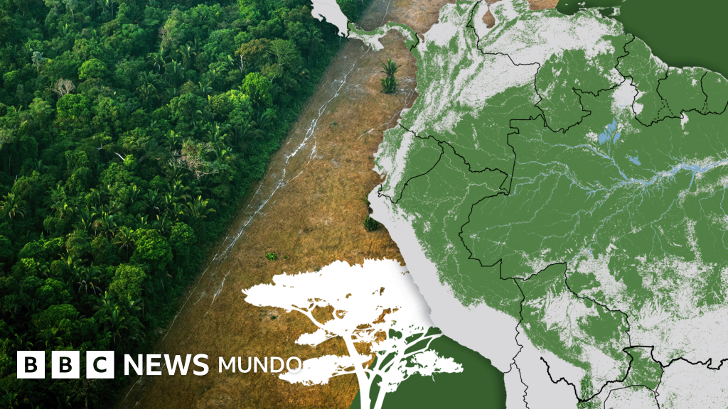 La Amazonía enfrenta un punto crítico: deforestación, cambio climático y la urgencia de un futuro sin combustibles fósiles