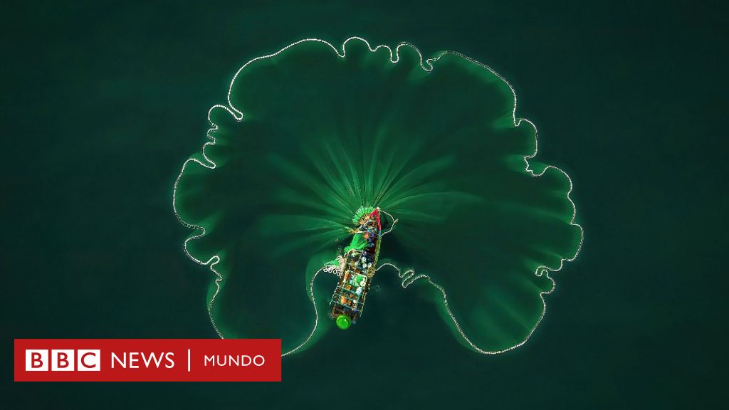 Día Mundial De Los Océanos Las Fotos Más Espectaculares Premiadas Por Naciones Unidas Bbc 1453