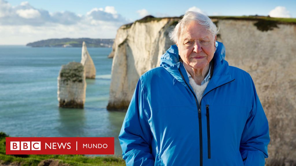 El poderoso y optimista mensaje sobre el futuro del planeta de David Attenborough, el célebre naturalista británico, en su 99 cumpleaños
