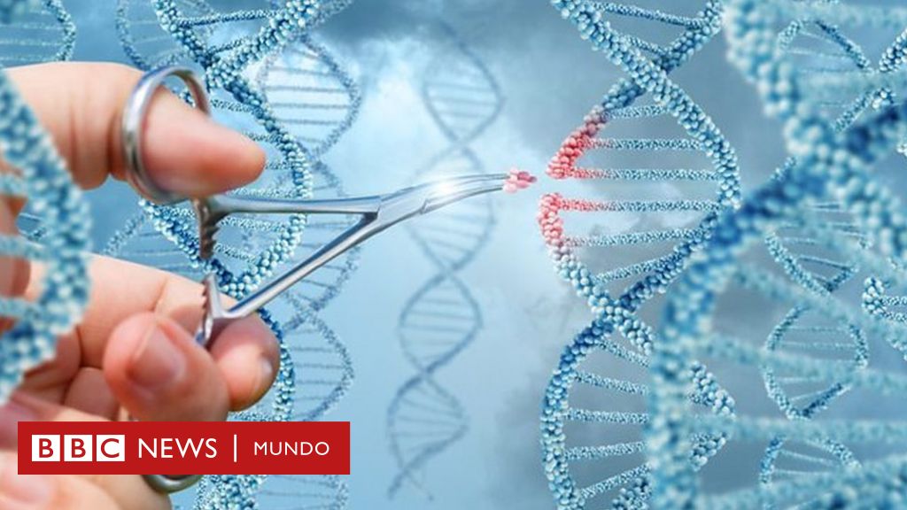 La carrera por liderar el revolucionario y lucrativo mercado de la edición  genética en humanos - BBC News Mundo