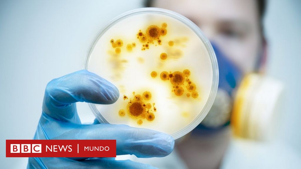 El mapa que muestra los nuevos virus que azotan a América Latina BBC