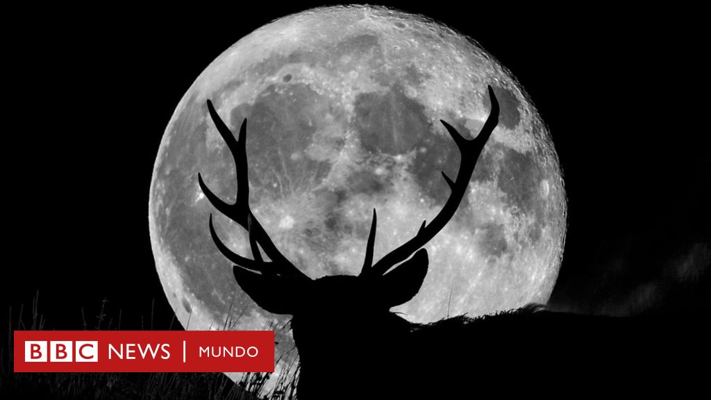 Superluna del ciervo: cómo y cuándo ver esta semana la Luna más grande y más brillante de 2022