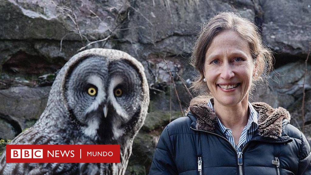 Qué hace que los búhos sean unas aves tan formidables (según una de las científicas que mejor los conoce)