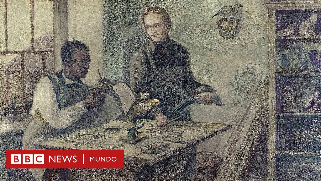 John Edmonstone, el esclavo liberado que le enseñó taxidermia a Darwin, un arte que abrió el camino para su teoría de la evolución