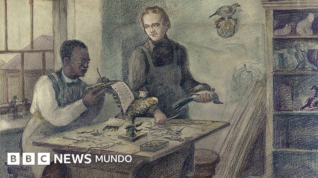 John Edmonstone, el esclavo liberado que le enseñó taxidermia a Darwin, un arte que abrió el camino para su teoría de la evolución