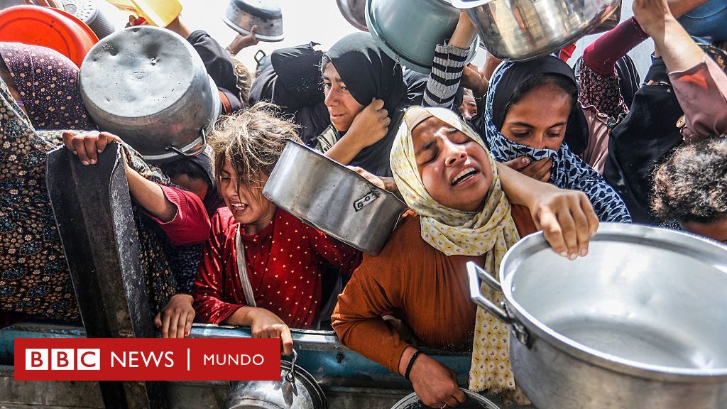 "Nos estamos quedando sin palabras para describir la miseria y la tragedia que afecta a la gente en Gaza"