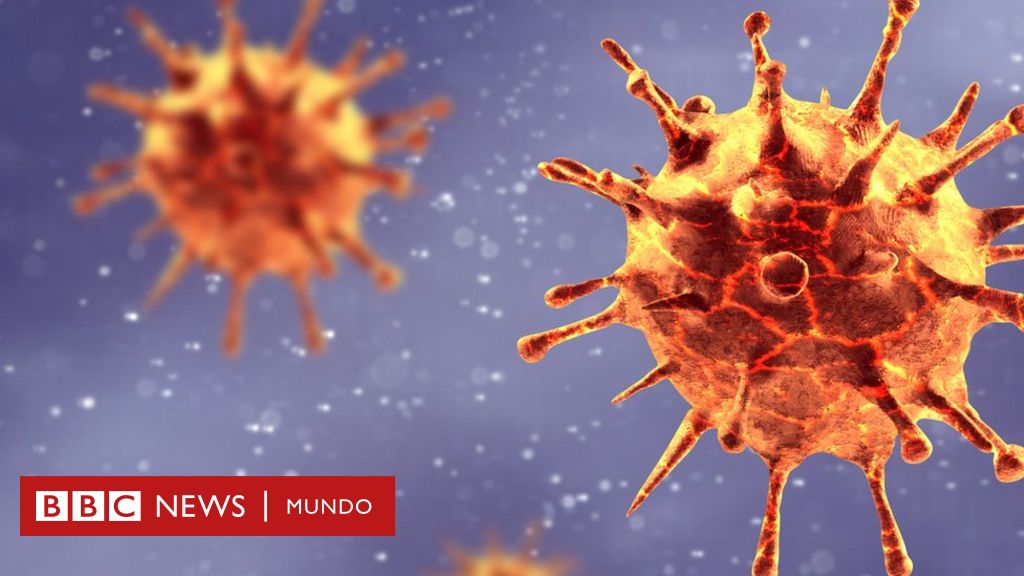 Coronavirus por qué covid19 se llama así y cómo se nombran los virus