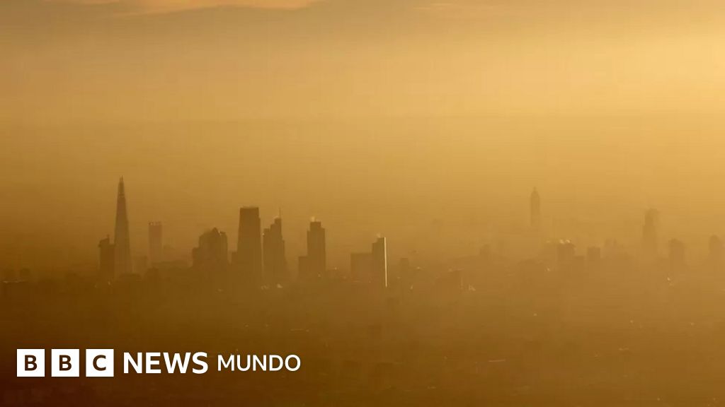 La investigación que puede cambiar por completo nuestro entendimiento sobre el cáncer